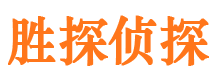 陆川婚外情调查取证